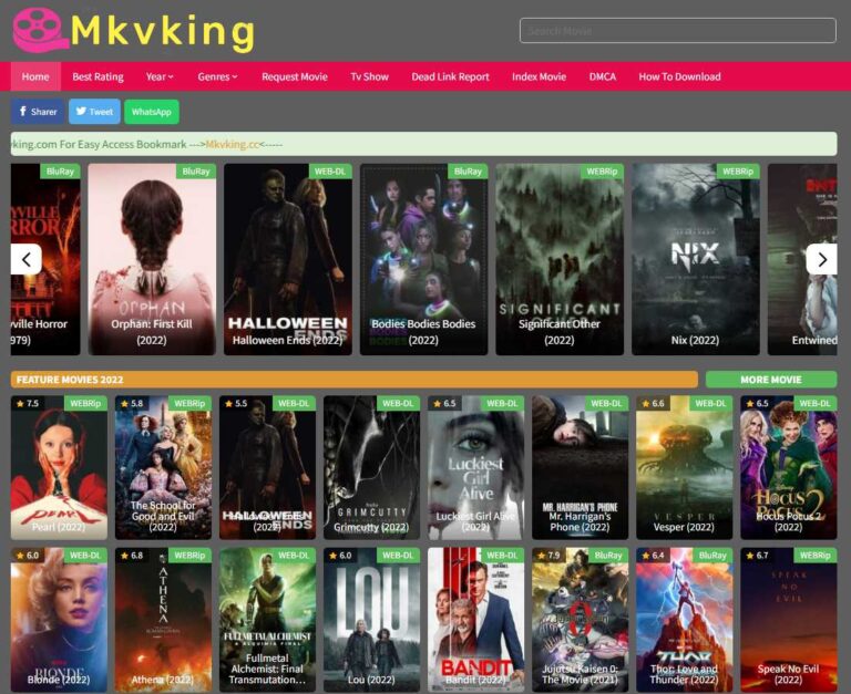Mkvking Movie Download